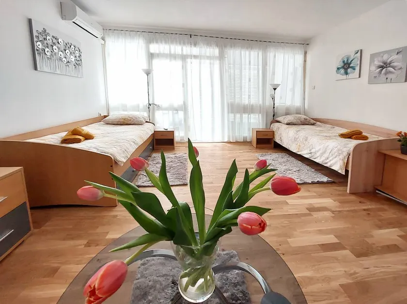 Apartment with 1 room for 3 persons - Image 1