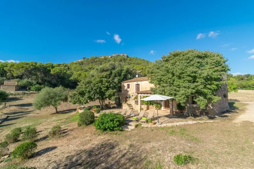 Chalet with garden & terrace - Image 1