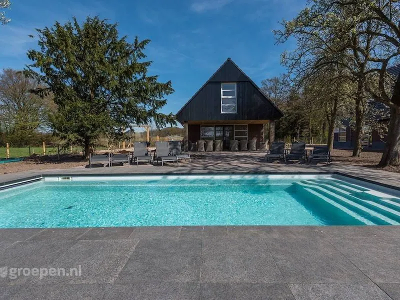 Achterhoek Villa with Heated Pool - Image 1