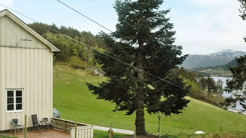 Holiday home with garden & terrace - Image 1
