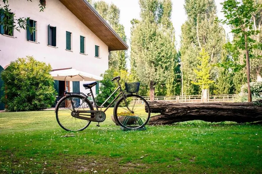 Agriturismo Il Bosco: Camera "ORIENTE" - Image 1