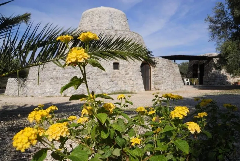 Specchiarussa: Pajara delle cento pecore - Image 1