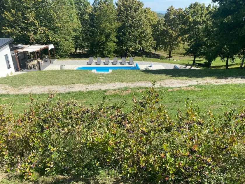 Ferienhaus mit Garten, beheiztem Pool und Terrasse | Gartenblick - Image 1
