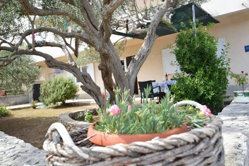 Holiday apartment with terrace | Sea view - Image 1