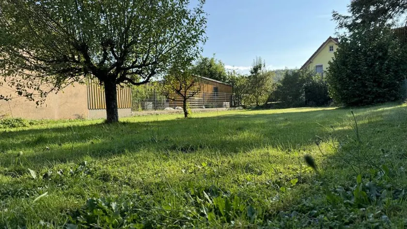 Family-oriented beautiful holiday home with barbecue & garden | Pets are welcome - Image 1