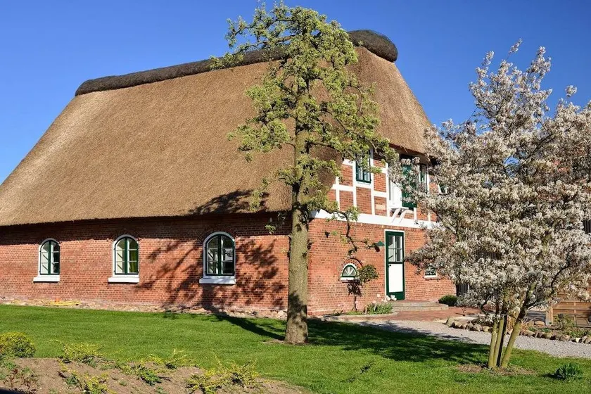 Nice house with terrace - Image 1