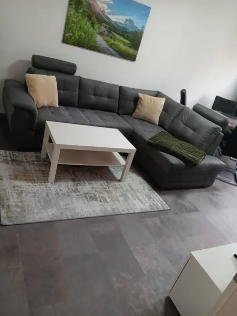 Family-friendly flat | Pets allowed - Image 1