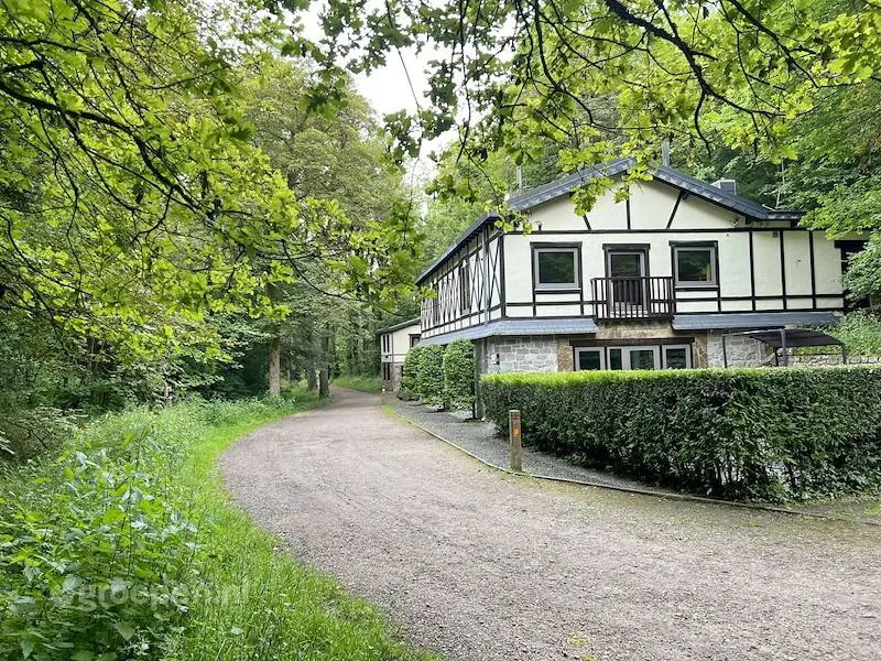 Casa con sauna, idromassaggio e griglia | Vista sulla natura | Sono ammessi animali domestici - Image 1