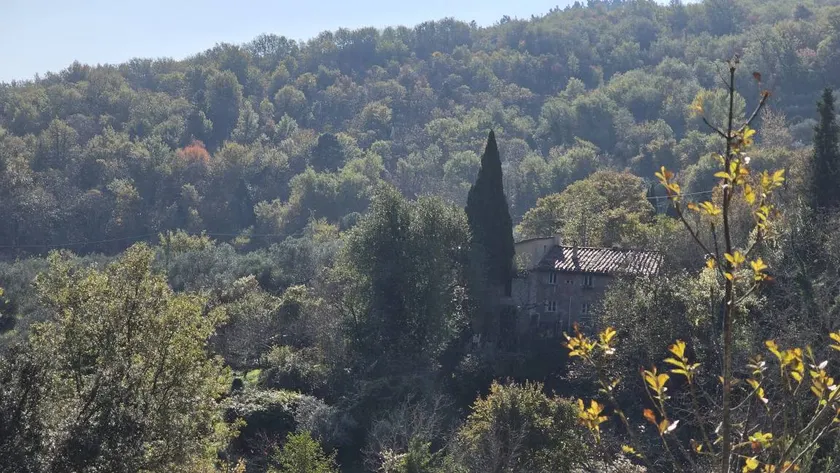 Podere la Casellina - un vero agriturismo familiare: Struttura intera - Image 1