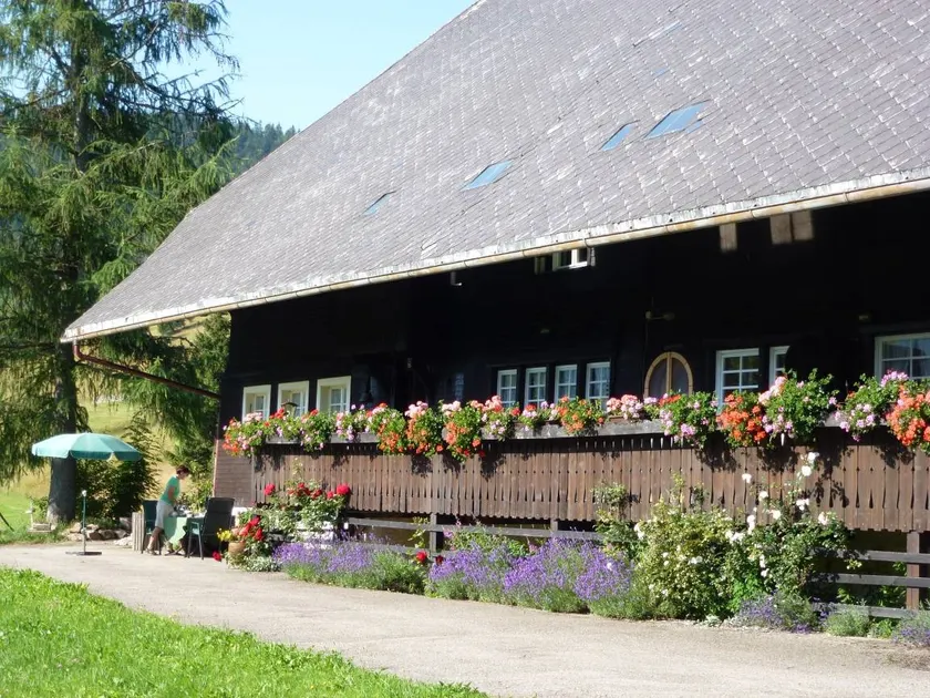 Family-friendly lovely apartment with BBQ, sauna & terrace | Mountain view - Image 1