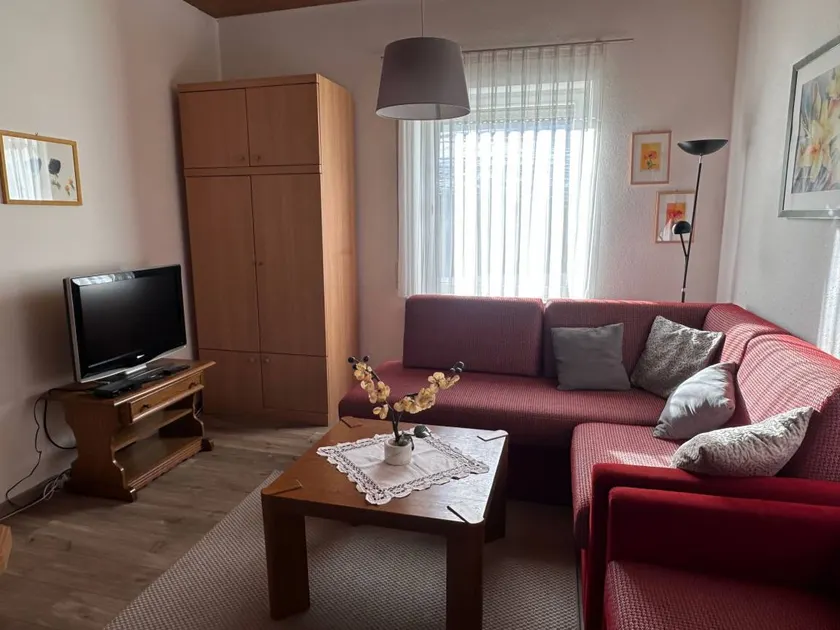 Apartment with terrace | Pets allowed - Image 1