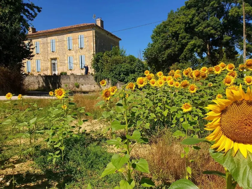 House with terrace & garden | Garden view - Image 1