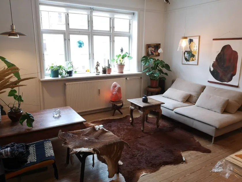 Cozy appartment close to sea, forrest and shops - Image 1