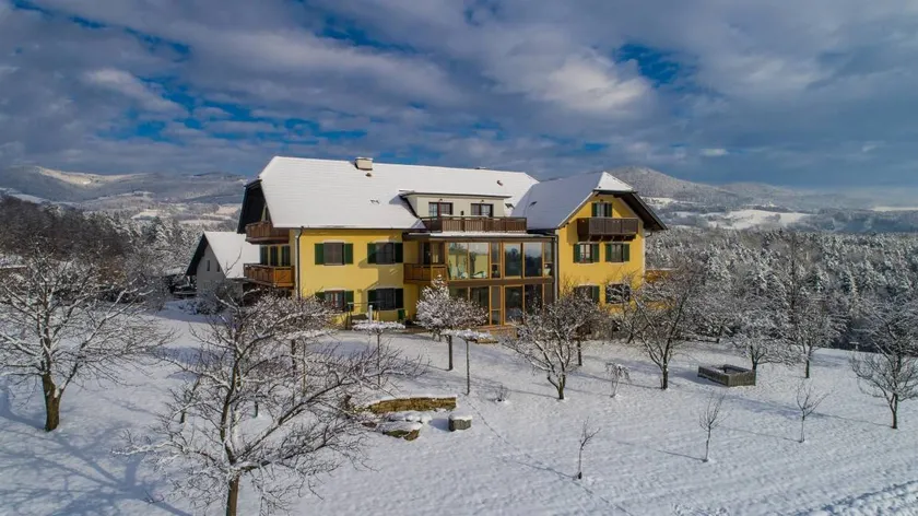 Family-oriented pleasant holiday apartment with terrace, garden & barbeque | Dogs allowed - Image 1