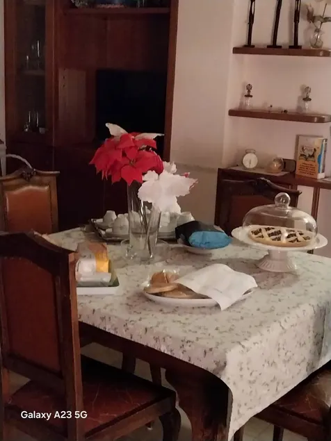 Holiday apartment with garden & barbeque | Mountain view - Image 1