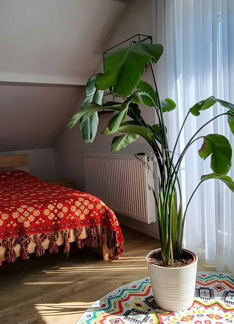 Apartment | Suitable for remote work - Image 1