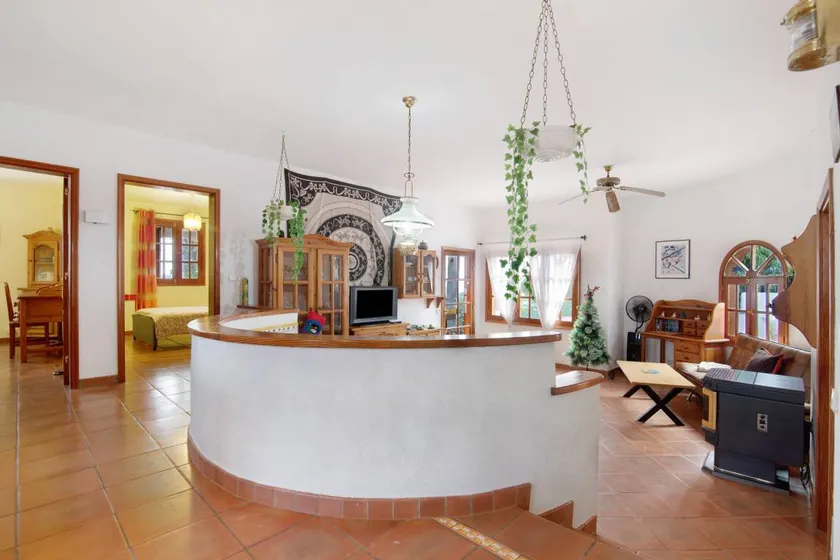 Palmeras - Image 1