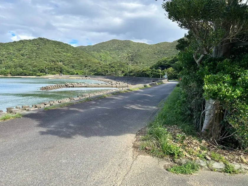 Shishikura - Image 1