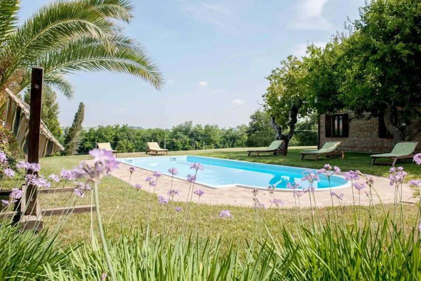 Homerez - Appartement à Castelbellino - Image 1