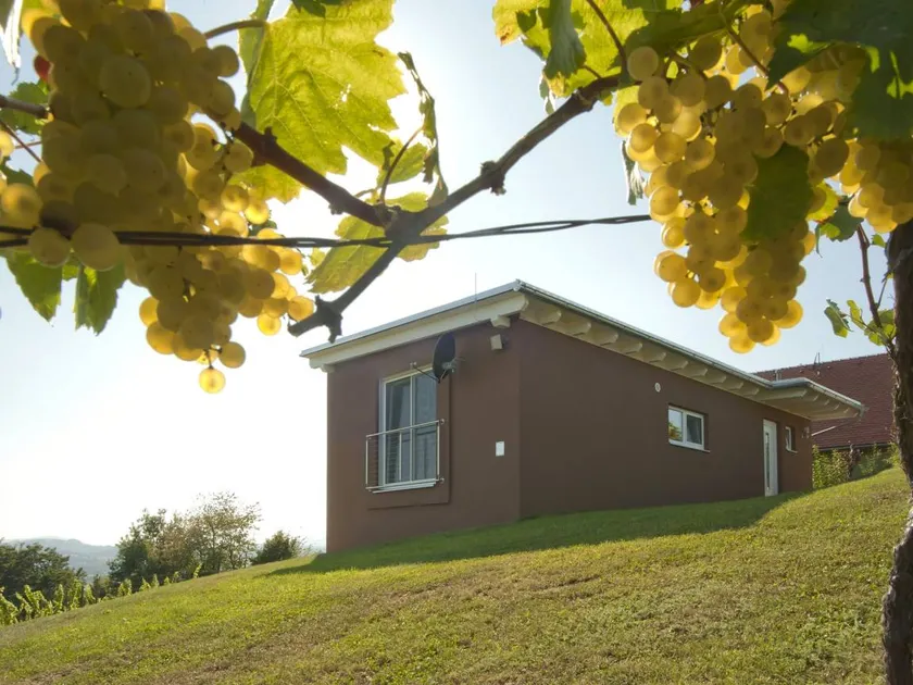 Family-oriented holiday home with sauna | Pets are welcome - Image 1
