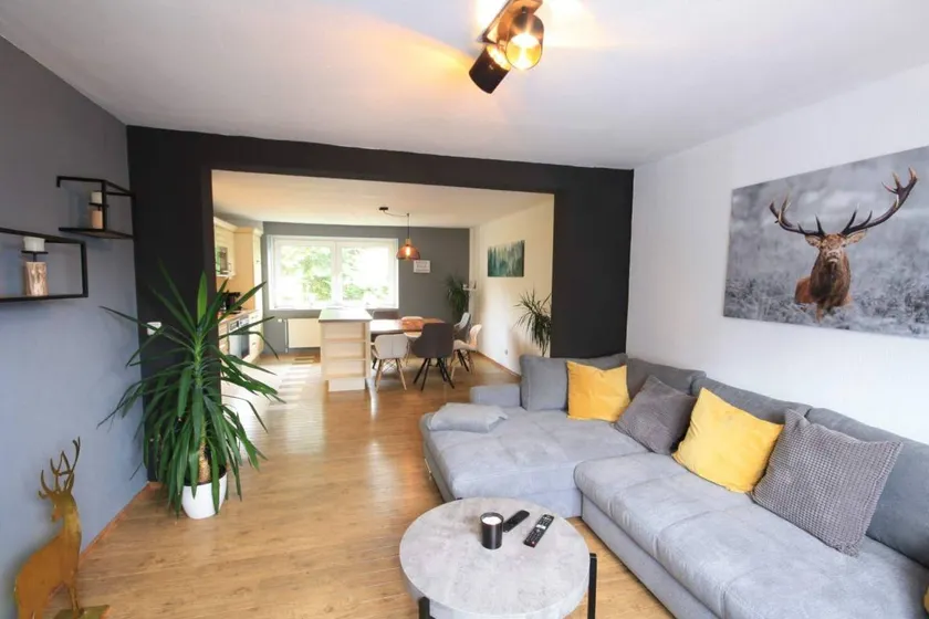 Fully equipped spacious holiday home with terrace, barbeque & garden | Dogs allowed - Image 1
