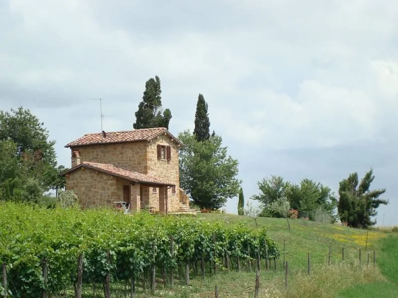 Casa Frati: Il Leccio - Image 1