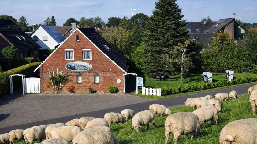 Nice flat with garden | Dogs allowed - Image 1
