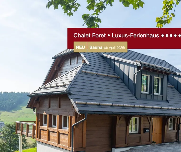 Child-friendly house with garden, sauna & pool | Mountain view | Next to the ski | Good for workation - Image 1