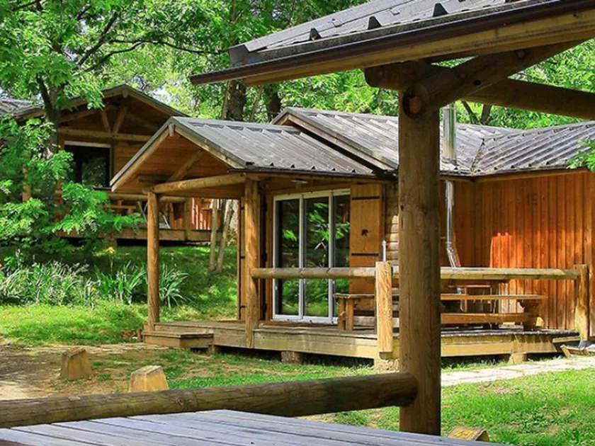 Chalet mit Pool - Image 1