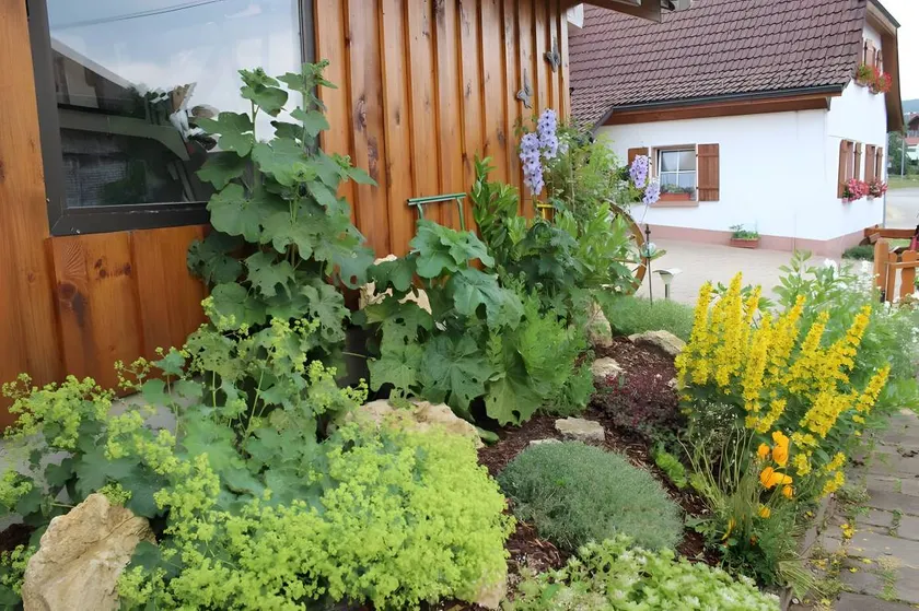 Holiday apartment with garden, terrace & BBQ | Garden view - Image 1