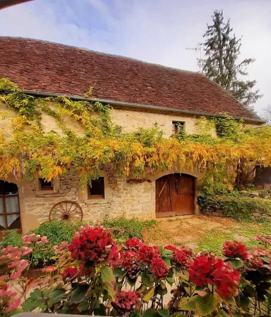 Cottage with barbecue, terrace & garden | Garden view - Image 1