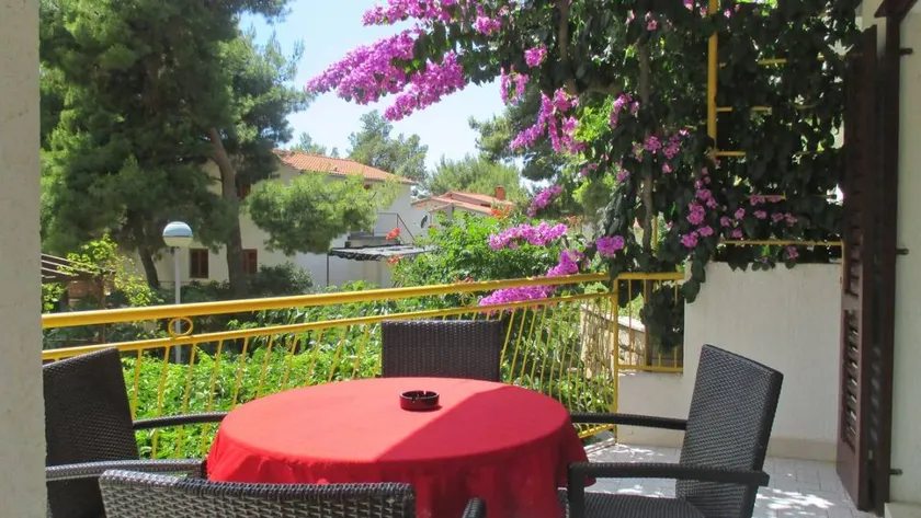 Holiday apartment with barbecue & terrace | Sea view | Pets are welcome - Image 1