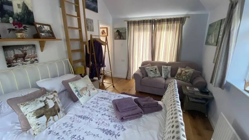 Dedicated room with garden - Image 1