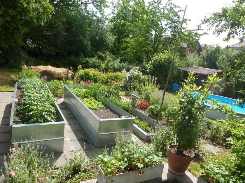 Ferienwohnung mit Grill, Pool und Garten | Naturblick - Image 1