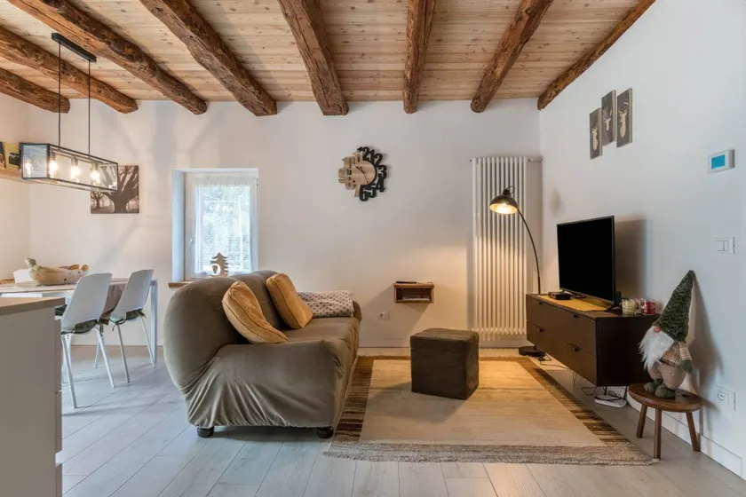 Fully equipped wonderful apartment with garden & barbeque | Garden view | Dogs allowed - Image 1