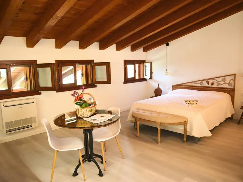 Agriturismo l' Abbraccio della Vigna tra vigneti con vista Castelli di Montecchio Maggiore e Colli Berici: Agriturismo Vicenza - Appartamento Vite Romantica - parcheggio privato, giardino, portico privato e WiFi Gratuito - Image 1