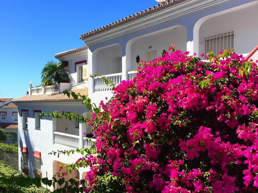 Holiday apartment with garden & pool - Image 1