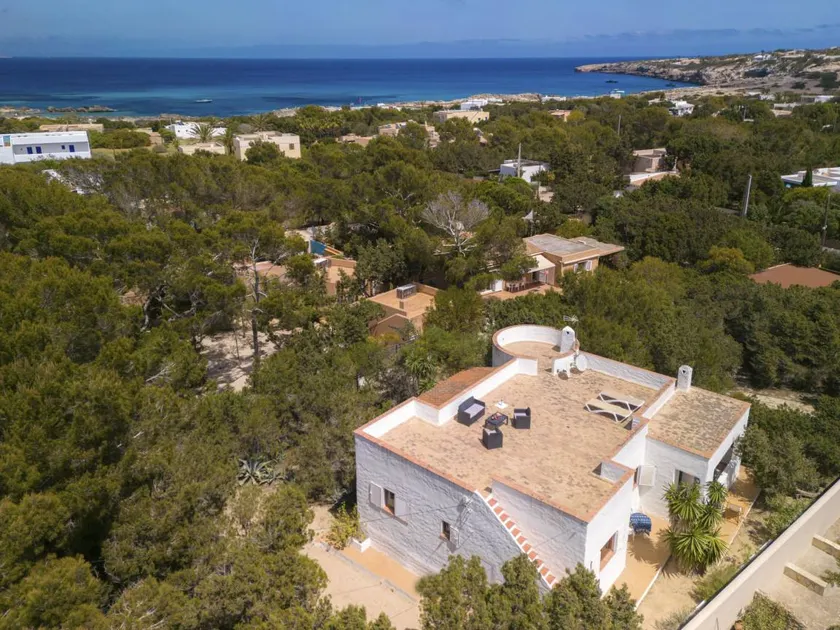 House with terrace, barbeque & garden | Nature view | Perfect for remote work - Image 1
