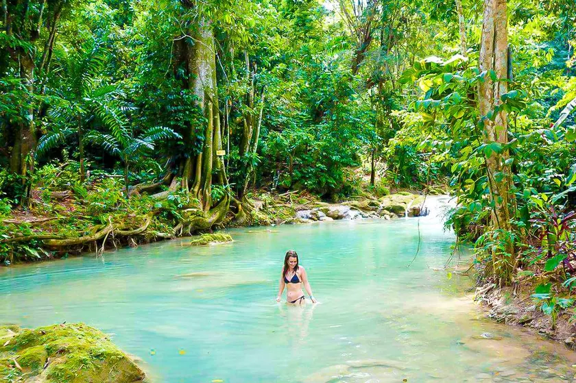Joys Eco Lodge and Wellness Center of Jamaica - Image 1