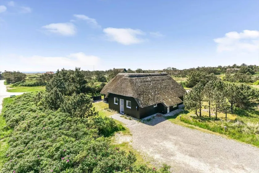 Fully equipped spacious holiday home with hot tub, terrace & barbecue | Next to the beach | Pets are welcome - Image 1
