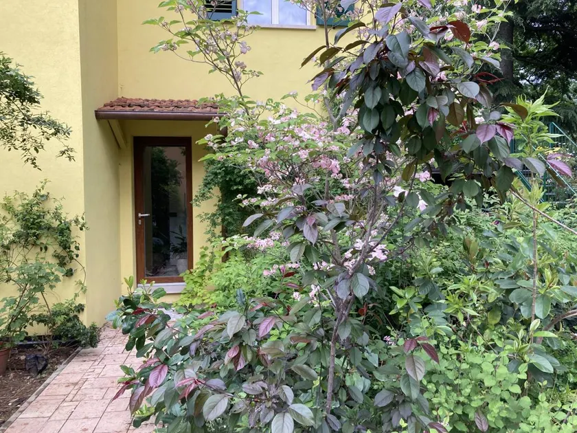 Familienorientierte charmante Wohnung mit Garten und Pool | Gartenblick | Haustiere erlaubt - Image 1