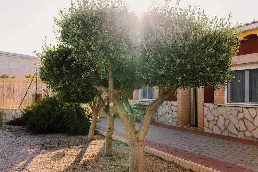 Country House 'Casa Cayo' with Mountain View, Wi-Fi and Air Conditioning - Image 1