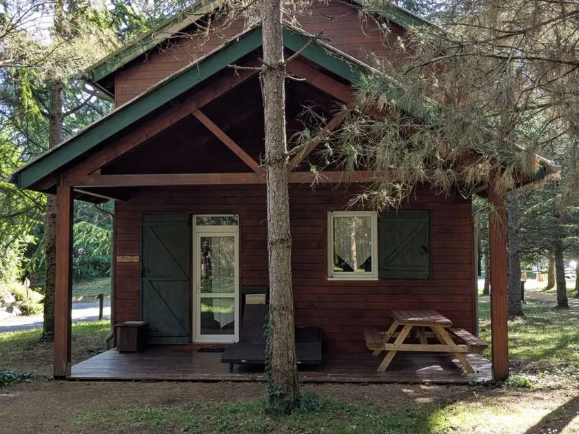 Wonderful chalet with pool | Dogs allowed - Image 1