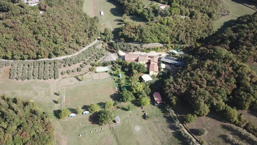 Agriturismo Val Verde - Camere, agricampeggio e grande parco: Camera 221 - Monteberico - Image 1