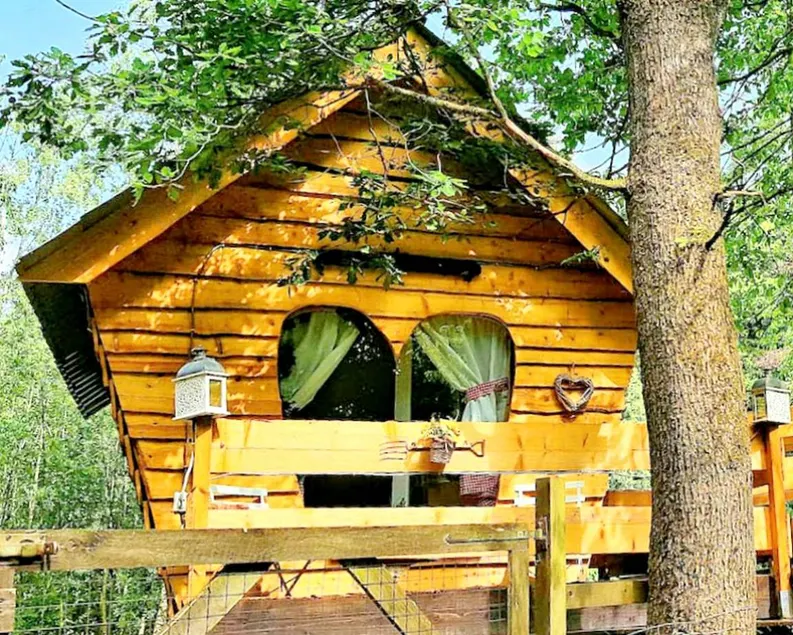 Unique Tree House Rental in a Forest near Namur, Belgium - Image 1