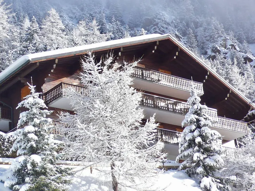 Nice holiday apartment | Dogs allowed - Image 1