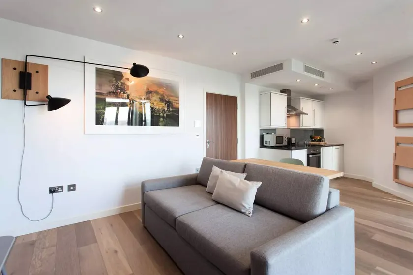 Wonderful flat | Pets allowed - Image 1