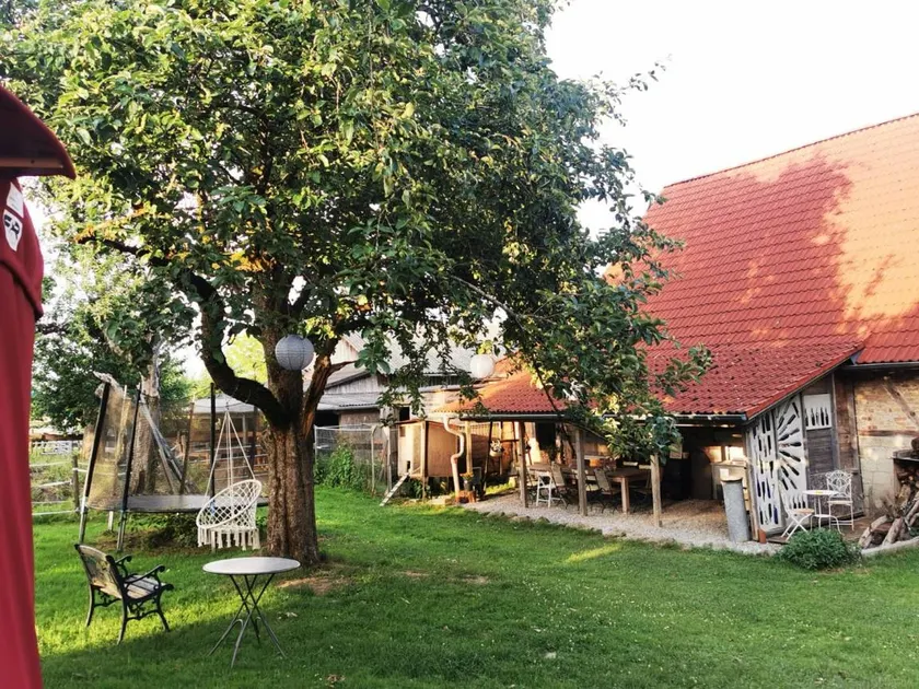 Cozy 28 m² yurt with stargazing view, barbecue area, and separate bathroom - Image 1