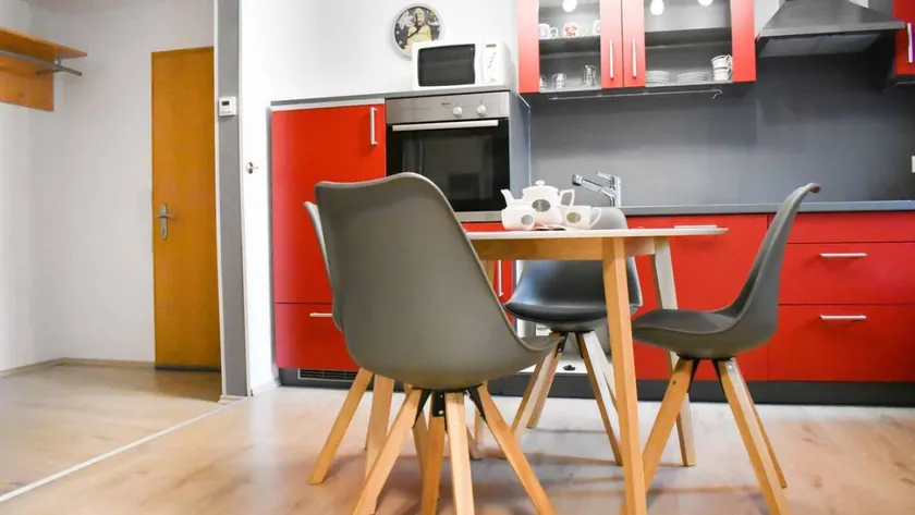 Holiday apartment with sauna, garden & barbeque - Image 1