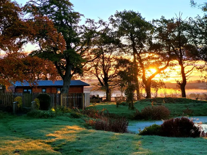 Cabin with garden - Image 1